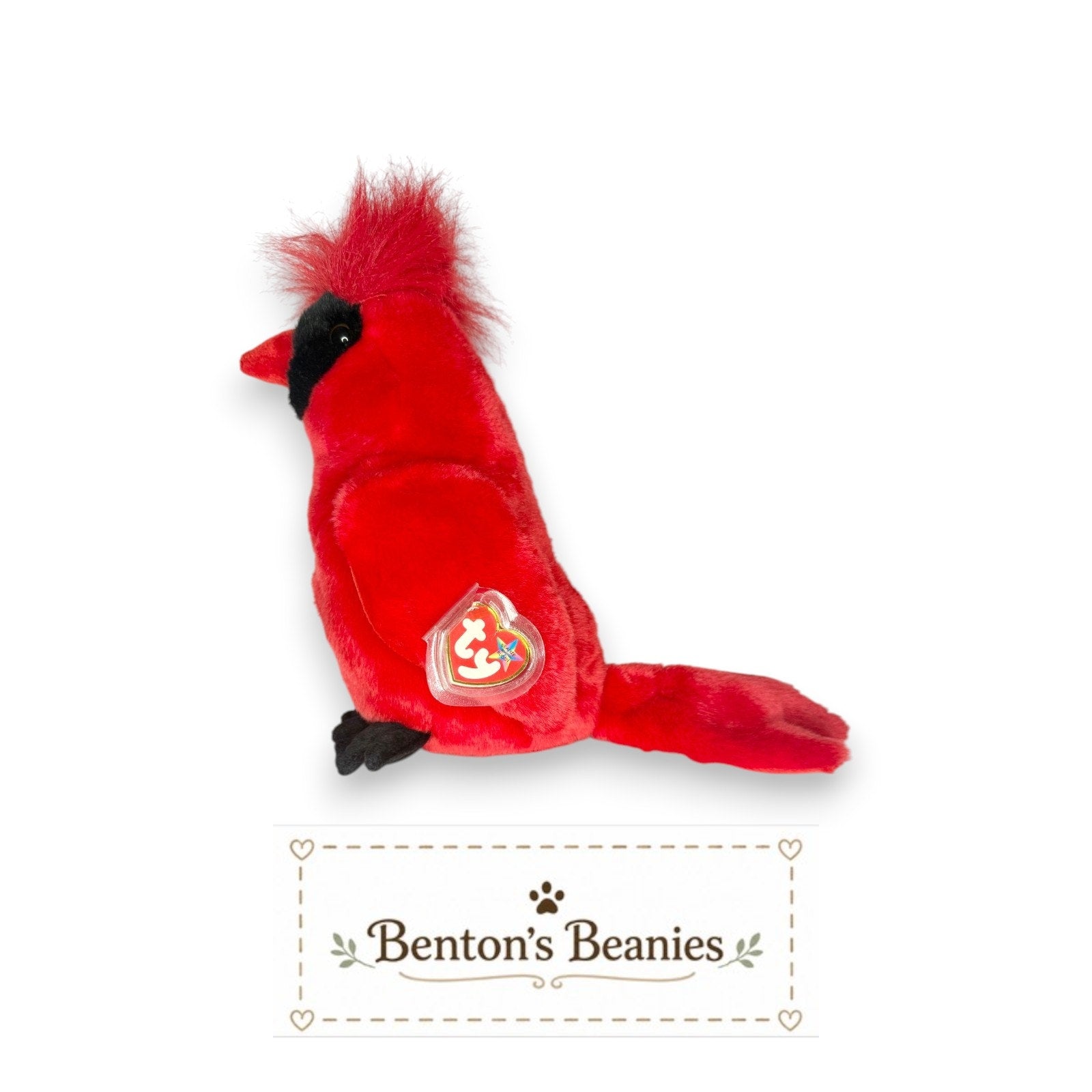 Mac the Cardinal TY Beanie Buddies | GOOD Heart & Tush Tag