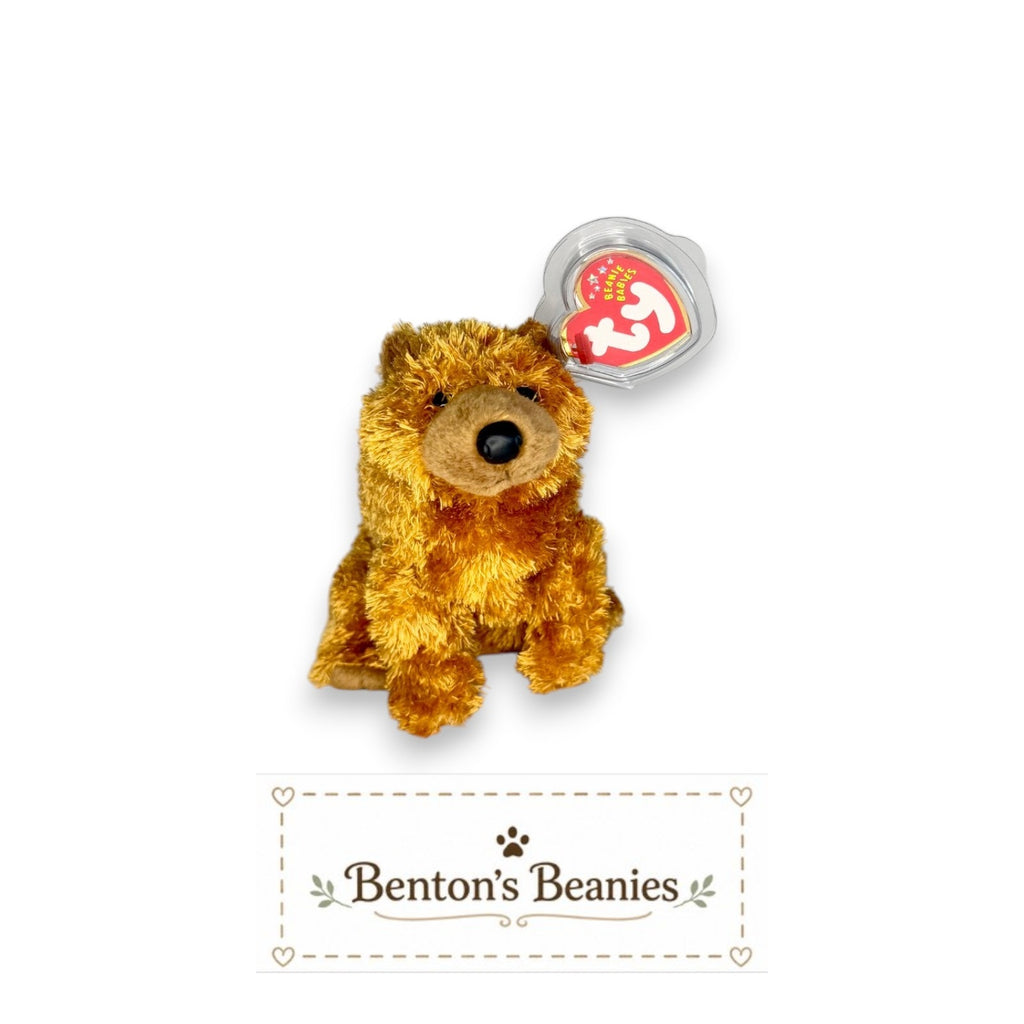 Sequoia the Bear TY Beanie Baby | Mint Heart & Tush Tag
