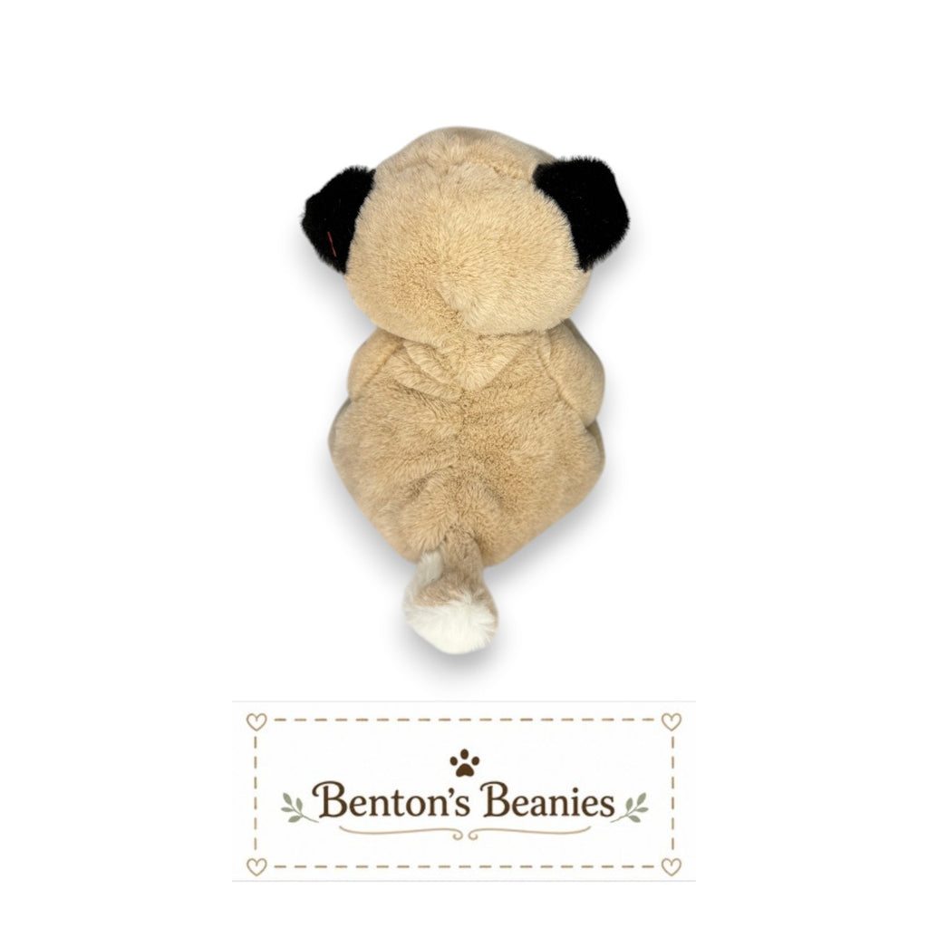 Izzy the Pug TY Beanie Baby | Mint Heart & Tush Tag