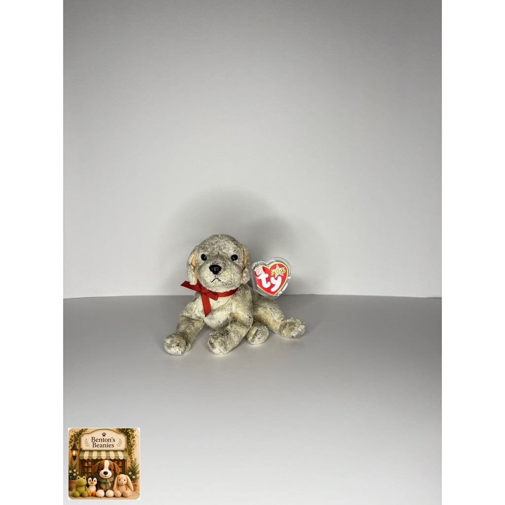 Tricks the Dog TY Beanie Baby | Mint Heart & Tush Tag