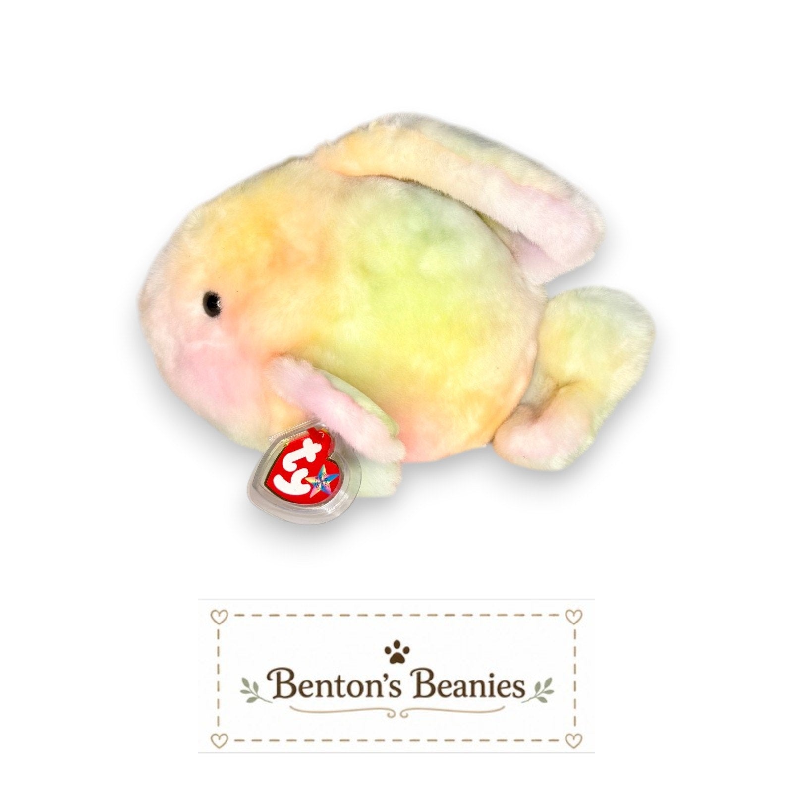 Coral the Fish TY Beanie Buddies | Mint Tags