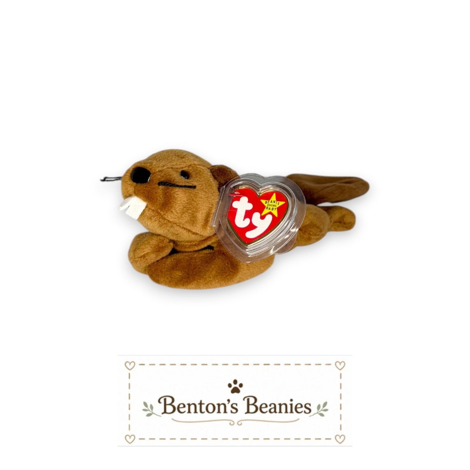 Bucky the Beaver TY Beanie Baby | Mint Heart & Tush Tag