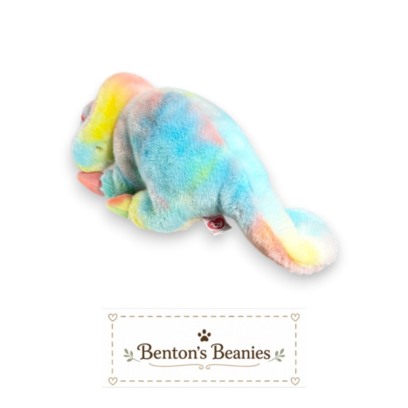 Rainbow the Iguana TY Beanie Buddies | Mint Heart Tush Tags