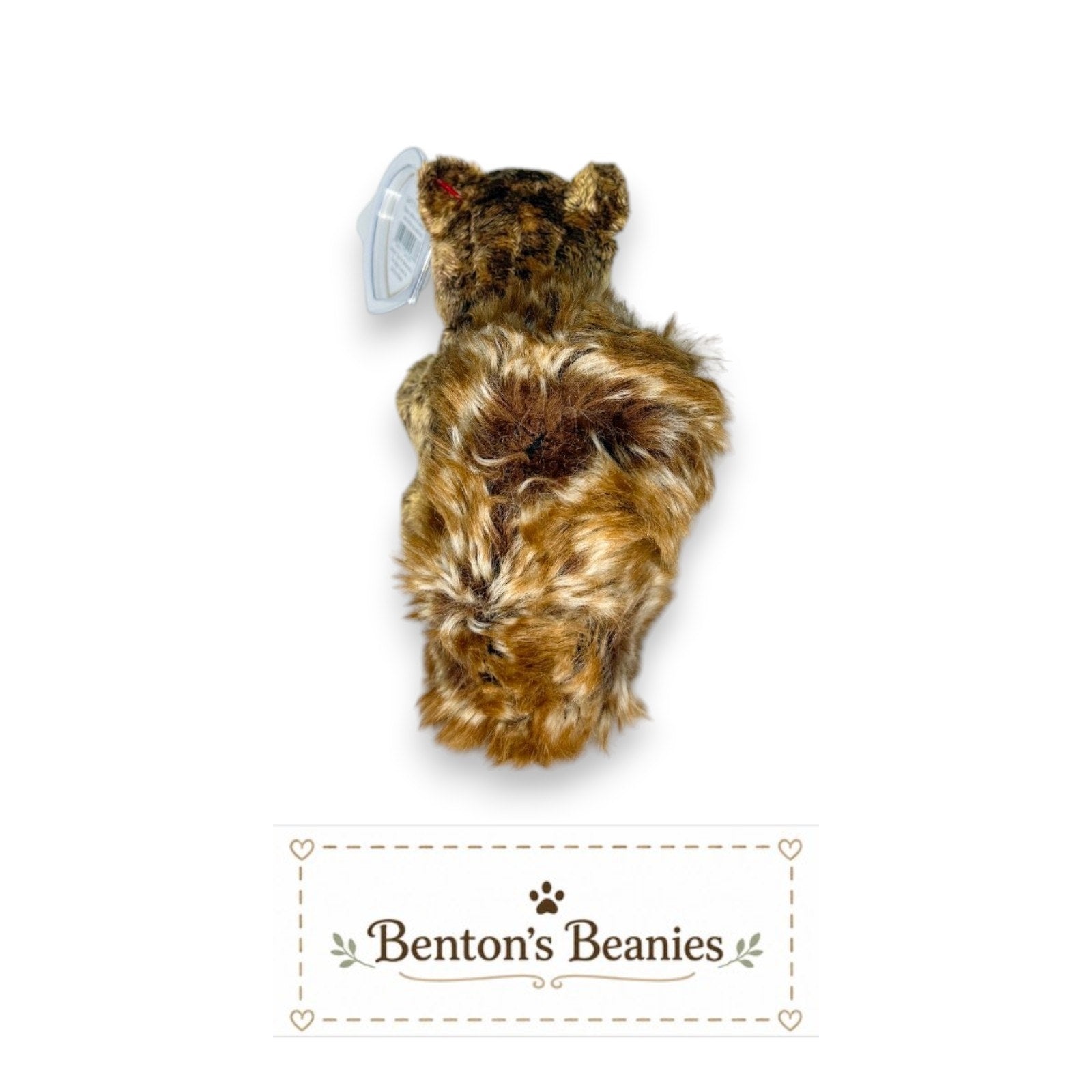 Nutty the Squirrel TY Beanie Baby | Mint Heart & Tush Tag