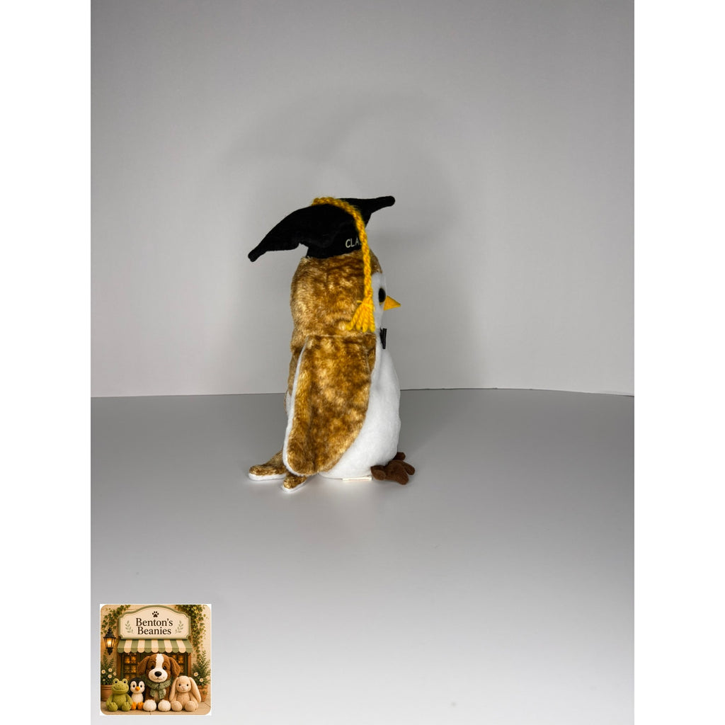 Wisest the Owl TY Beanie Baby | Mint Heart & Tush Tag