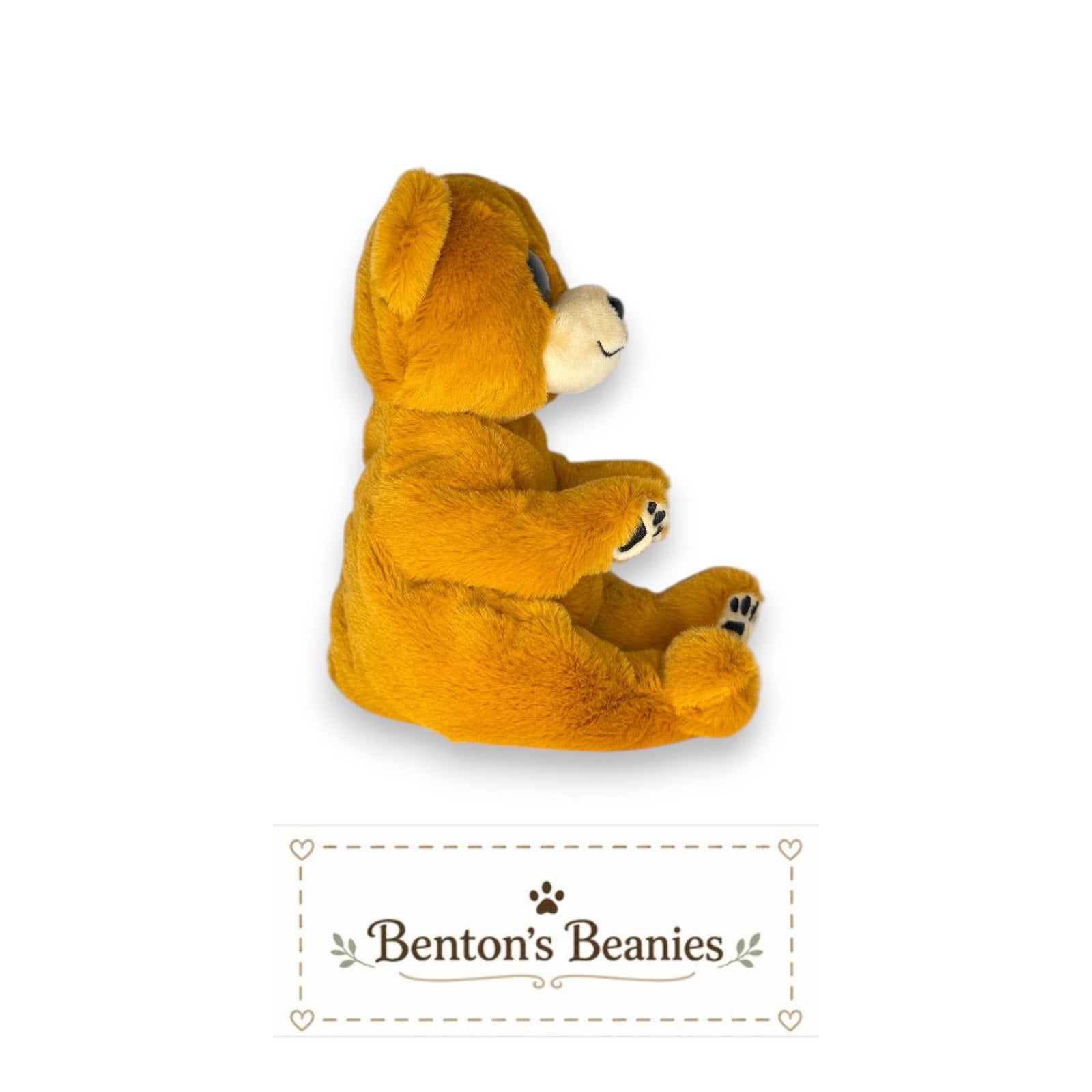 Duncan the Bear TY Beanie Baby | Mint Heart & Tush Tag