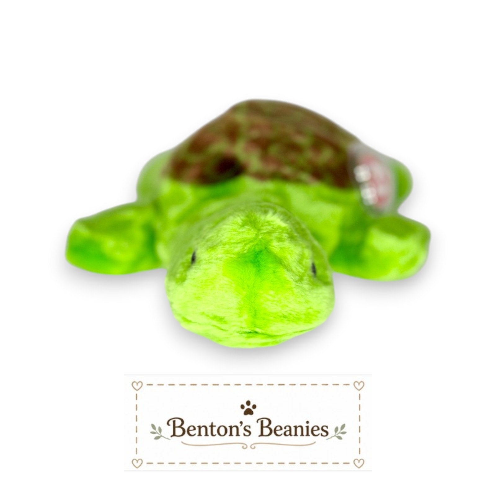 Speedy the Turtle TY Beanie Buddies | Mint Heart & Tush Tags