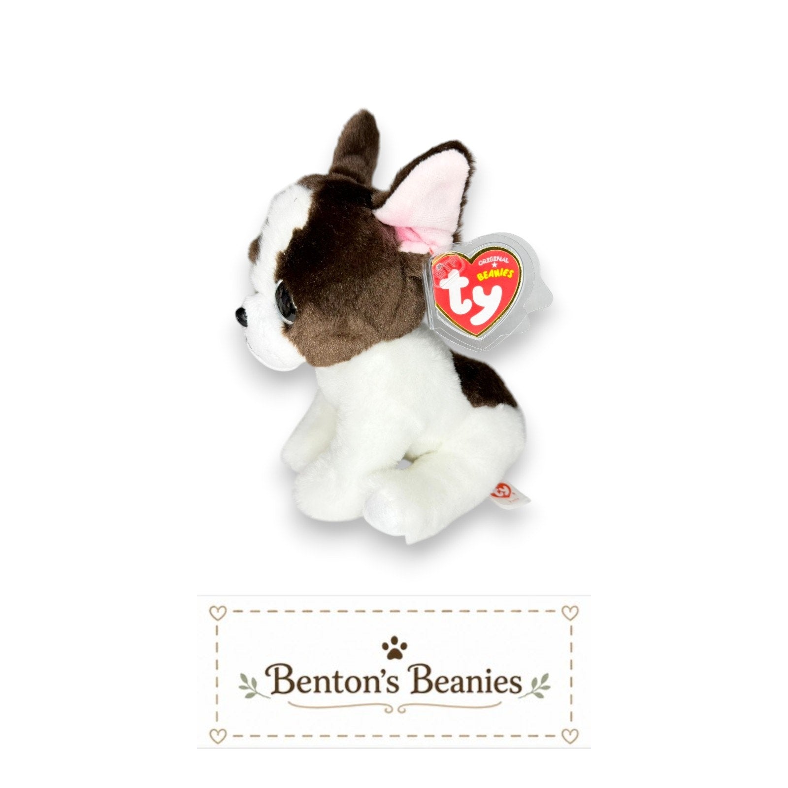Portia the Dog TY Beanie Baby | Mint Heart & Tush Tag