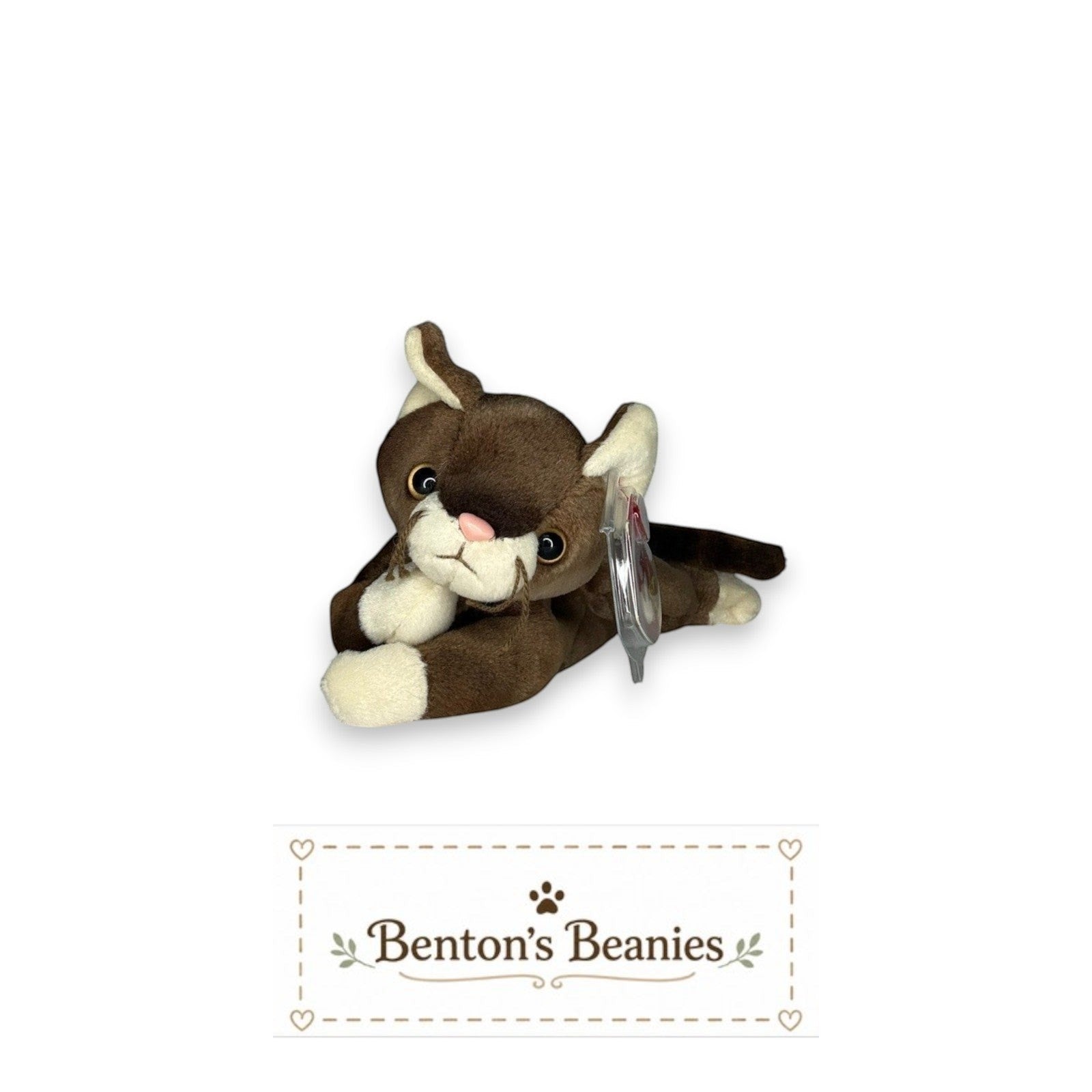 Pounce the Cat TY Beanie Baby | Mint Heart & Tush Tag