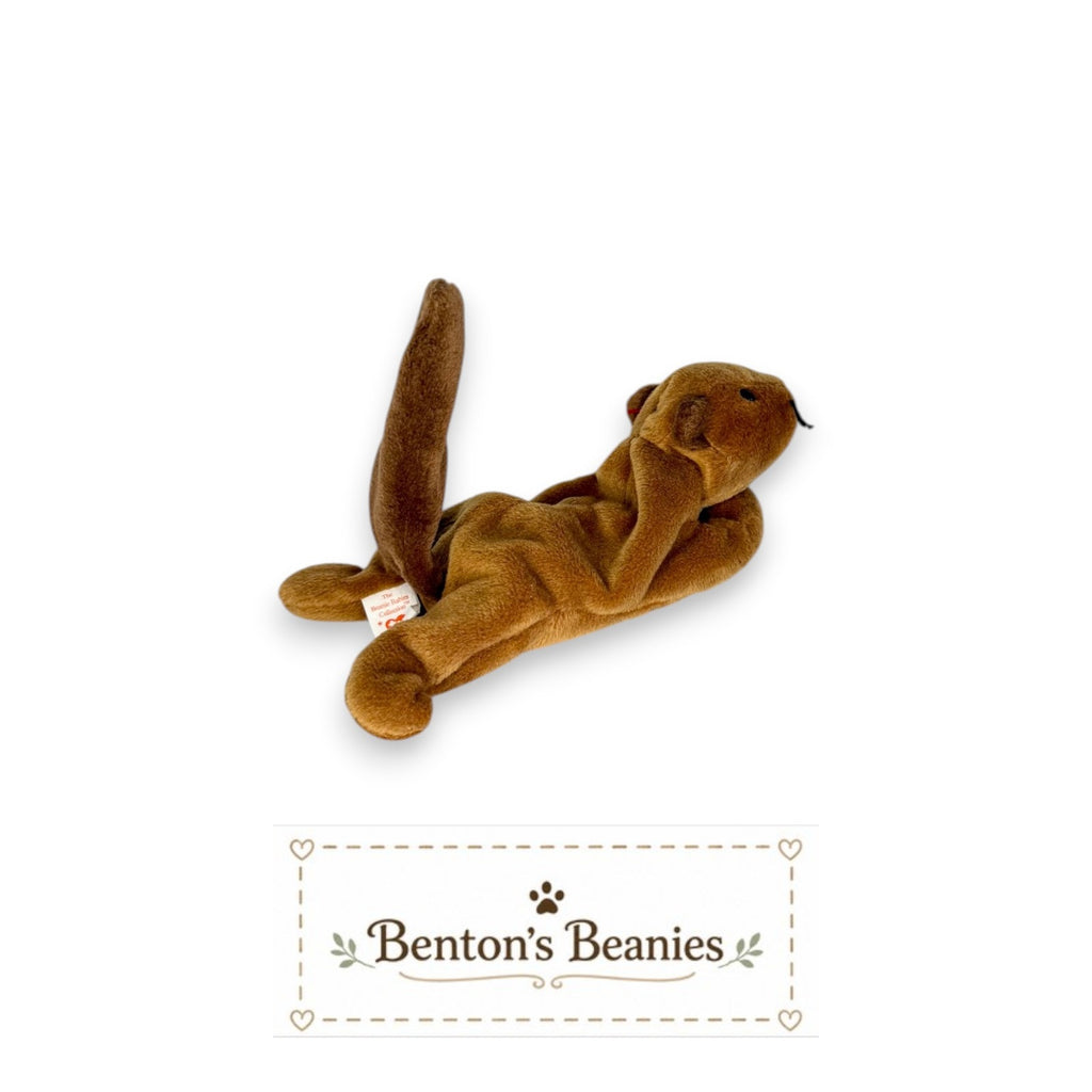 Bucky the Beaver TY Beanie Baby | Mint Heart & Tush Tag