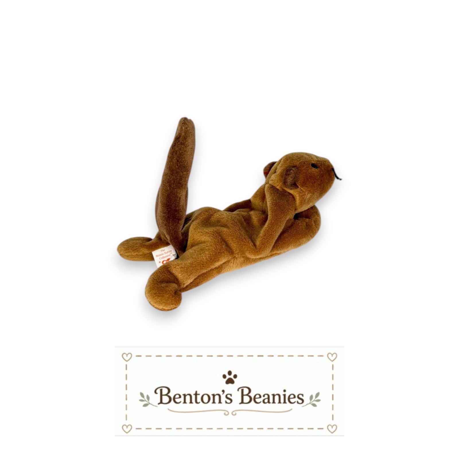 Bucky the Beaver TY Beanie Baby | Mint Heart & Tush Tag