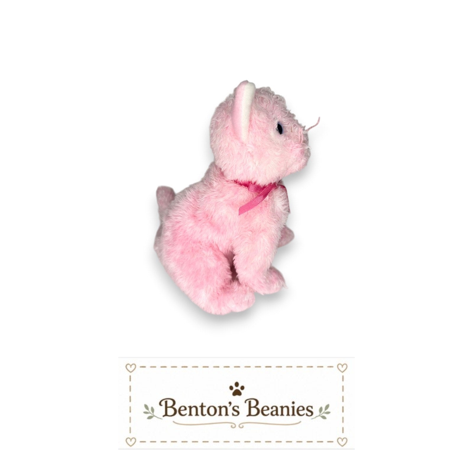 Fleur the Cat TY Beanie Baby | Mint Heart & Tush Tag