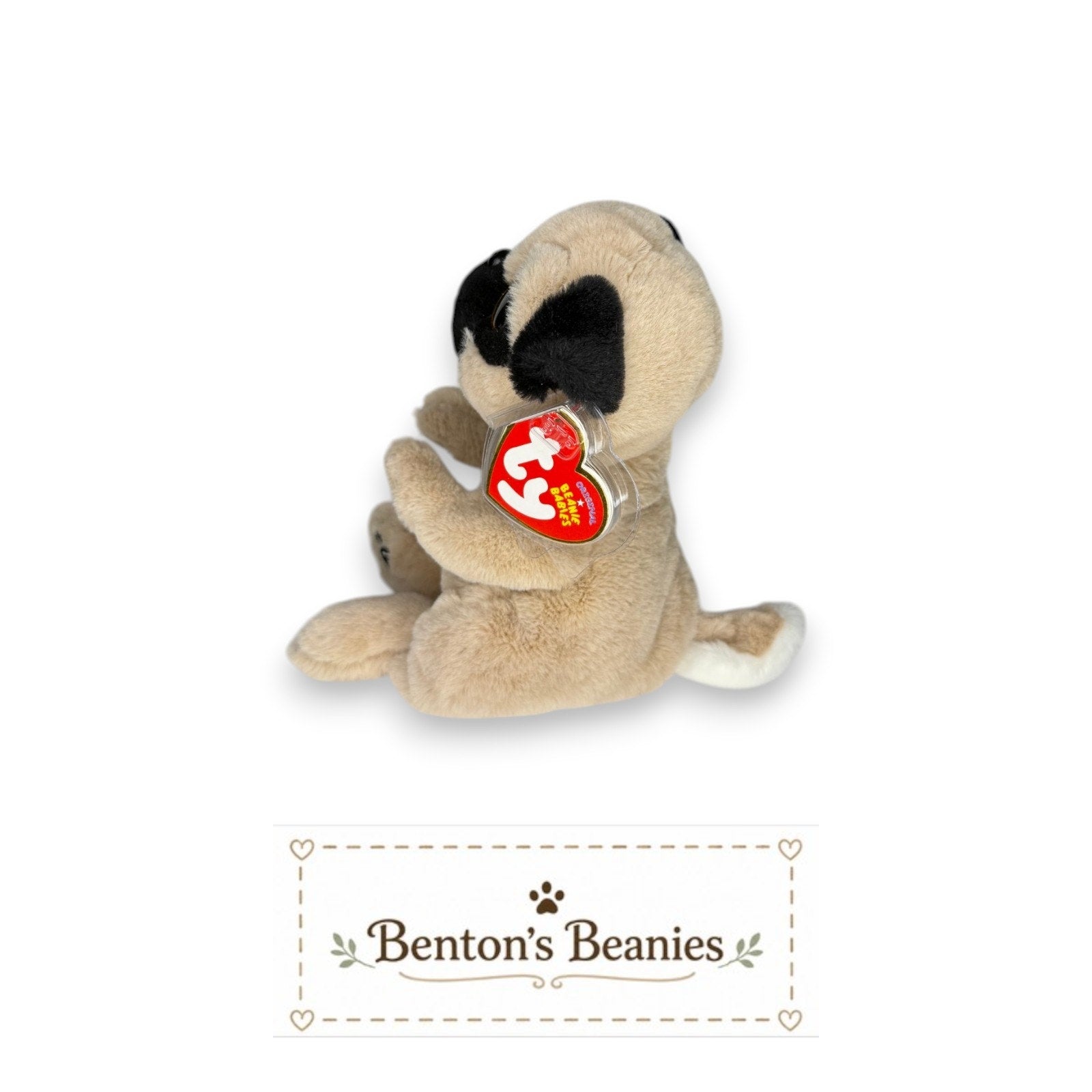 Izzy the Pug TY Beanie Baby | Mint Heart & Tush Tag