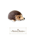 Prickles the Hedgehog TY Beanie Baby | Mint Heart & Tush Tag
