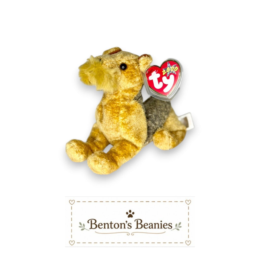 Whiskers the Dog TY Beanie Baby | Mint Heart & Tush Tag