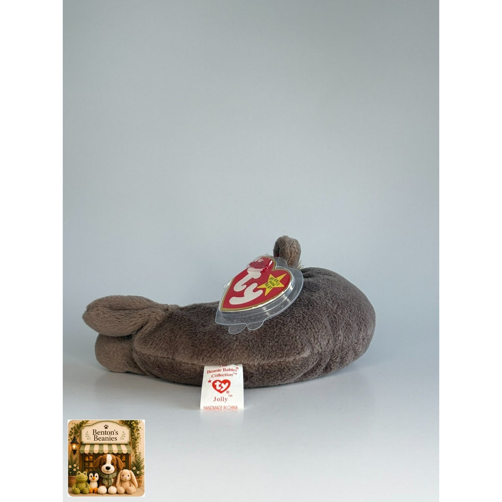Jolly the Walrus TY Beanie Baby | Mint Heart & Tush Tag