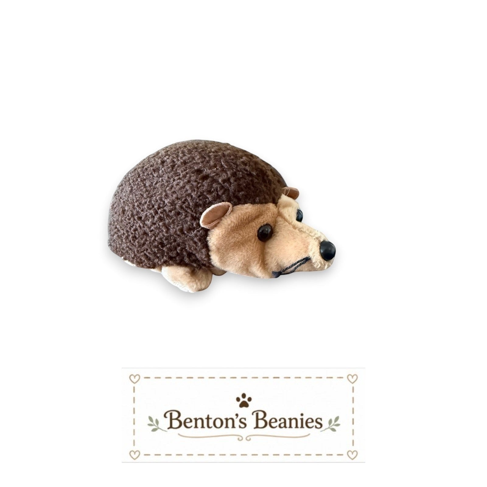 Prickles the Hedgehog TY Beanie Baby | Mint Heart & Tush Tag yyj