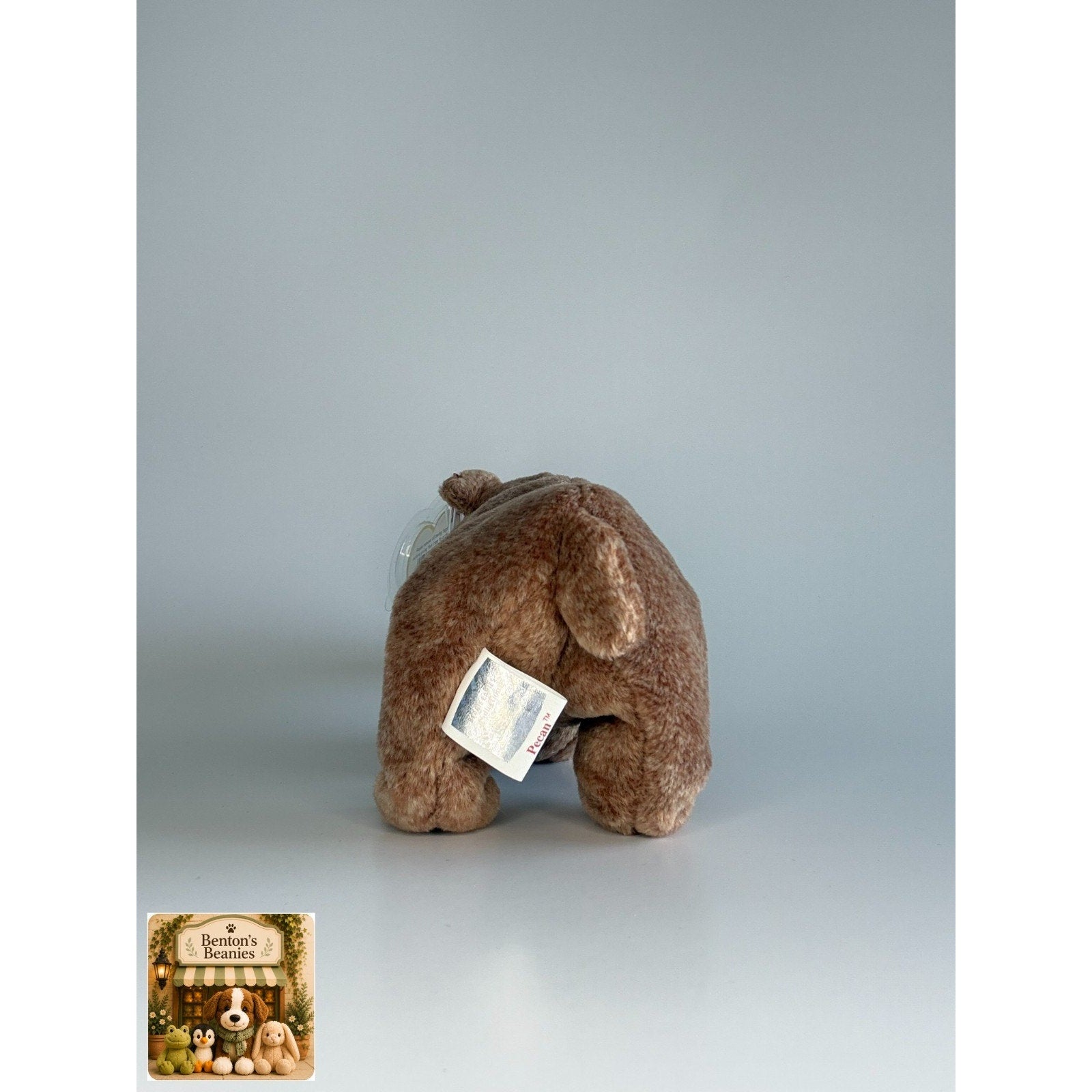 Pecan the Bear TY Beanie Baby | Mint Heart & Tush Tag