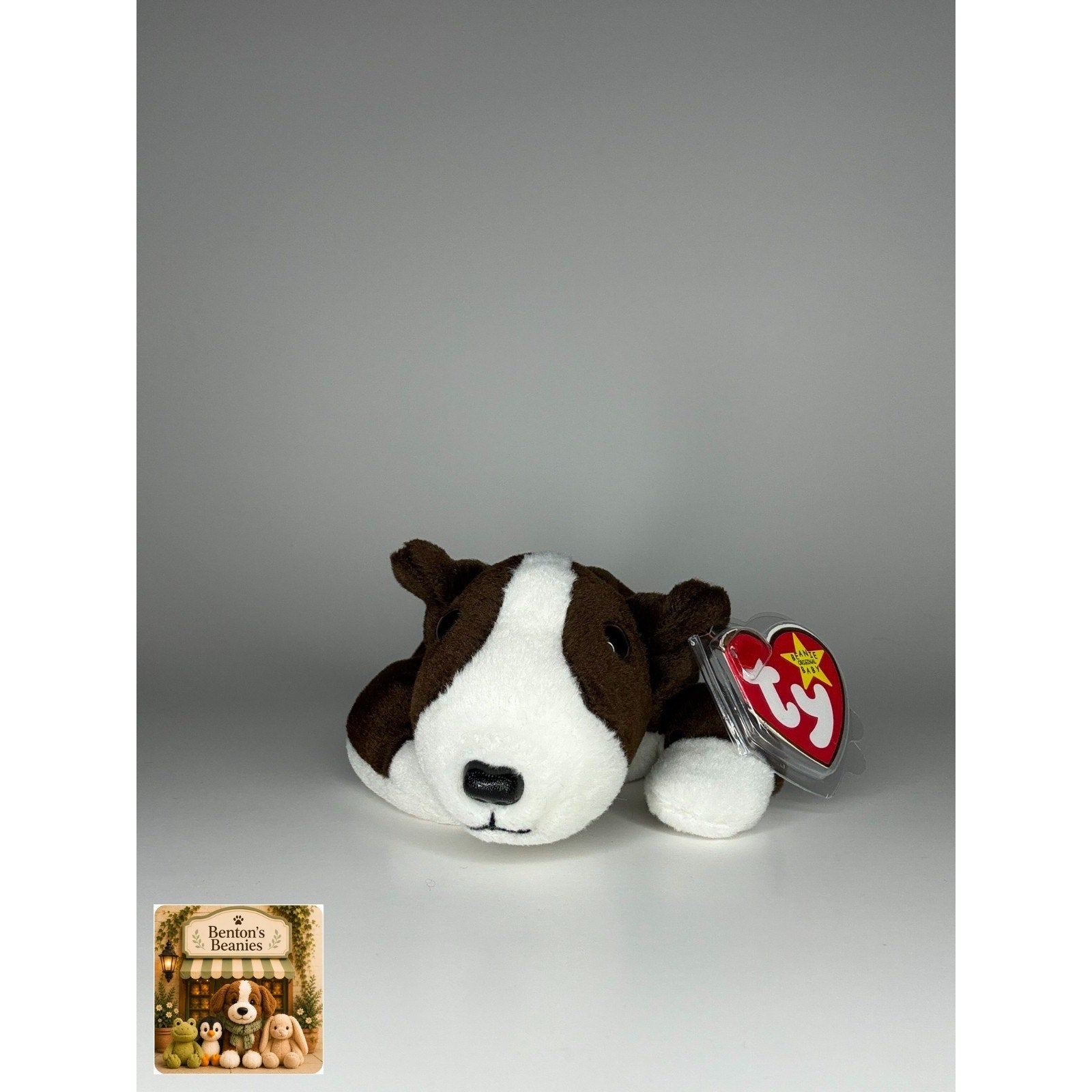 Bruno the English Bull Terrier TY Beanie Baby | Mint Heart & Tush Tag