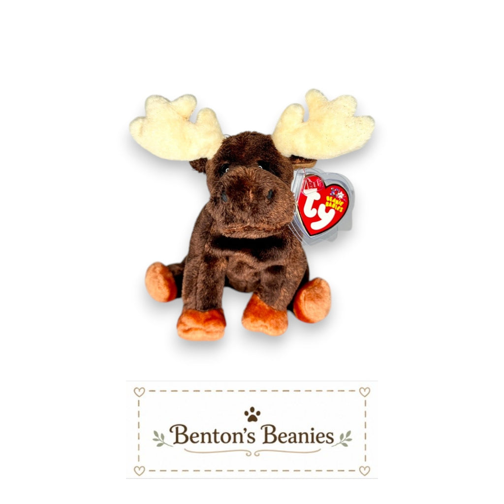 Zeus the Moose TY Beanie Baby | Mint Heart & Tush Tag