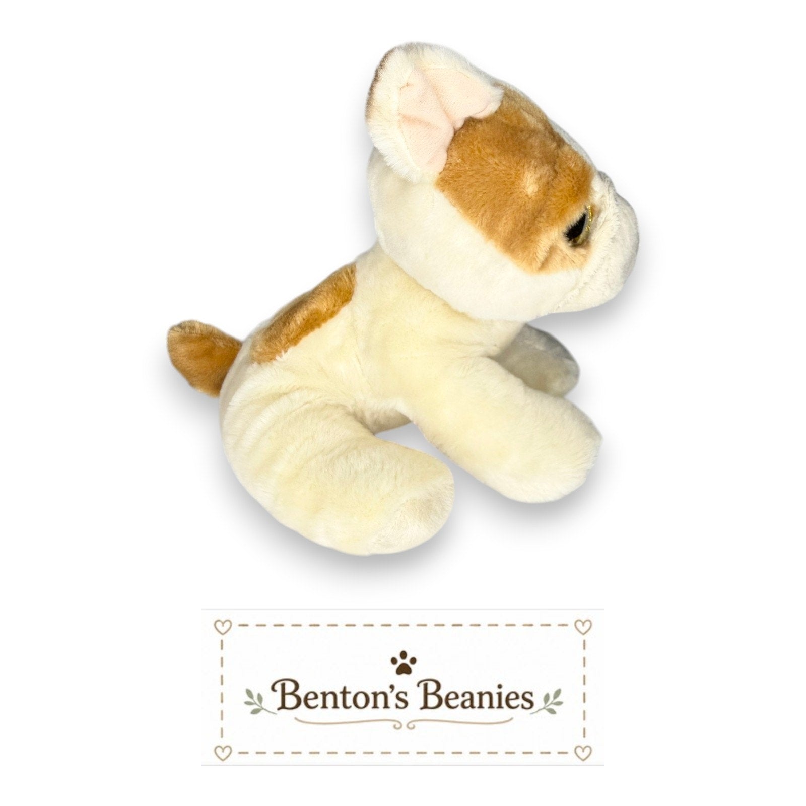 Houghie the Dog TY Classic (Buddy) | Mint Heart & Tush Tags