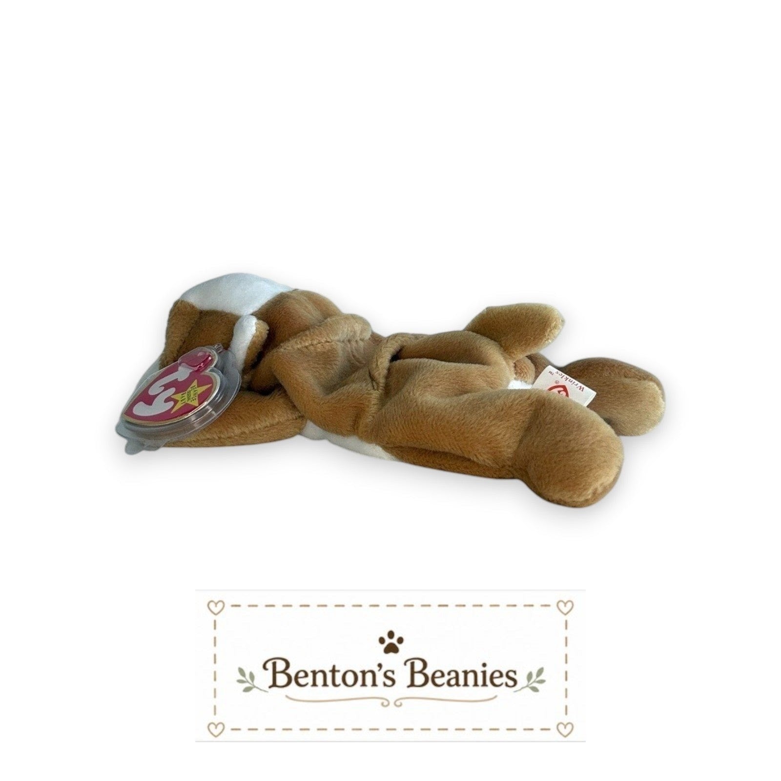 Wrinkles the Dog TY Beanie Baby | Mint Heart & Tush Tag