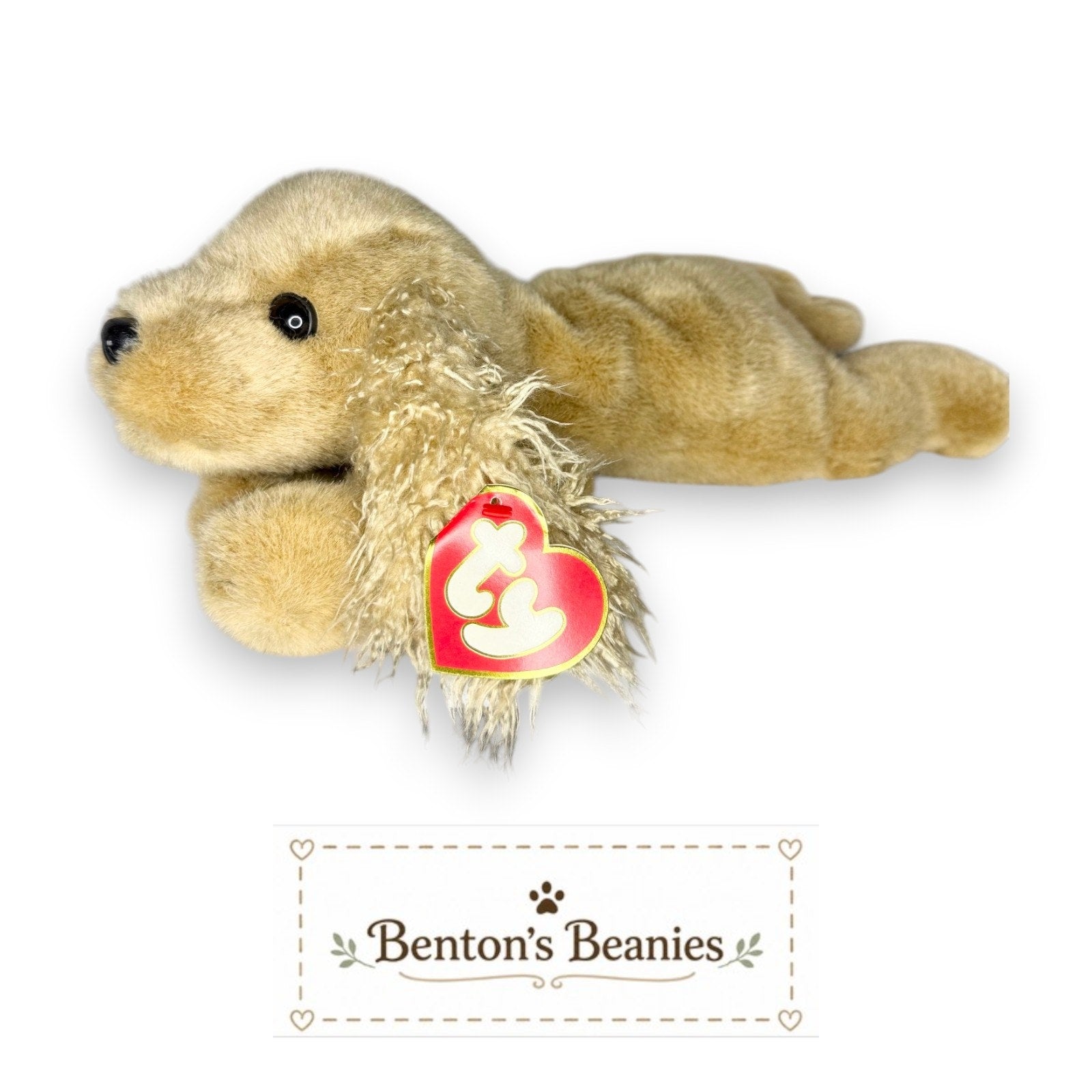 Charlie the Dog TY Classic (Beanie Buddies Size) | Mint Tags