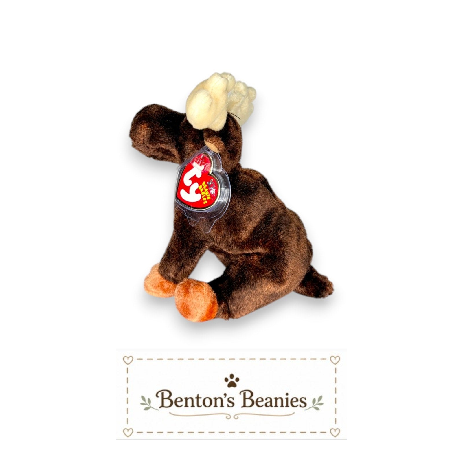 Zeus the Moose TY Beanie Baby | Mint Heart & Tush Tag