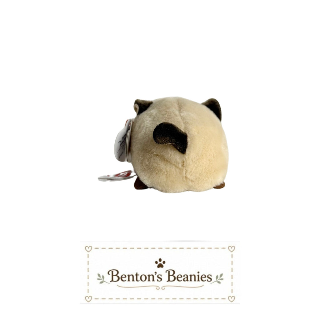 Kimi the Kitten TY Teeny Tys | New | Mint with Tags