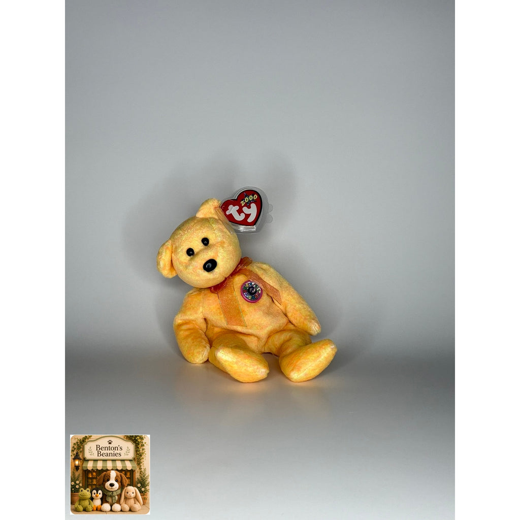 Sunny the Bear TY Beanie Baby | Mint Heart & Tush Tag