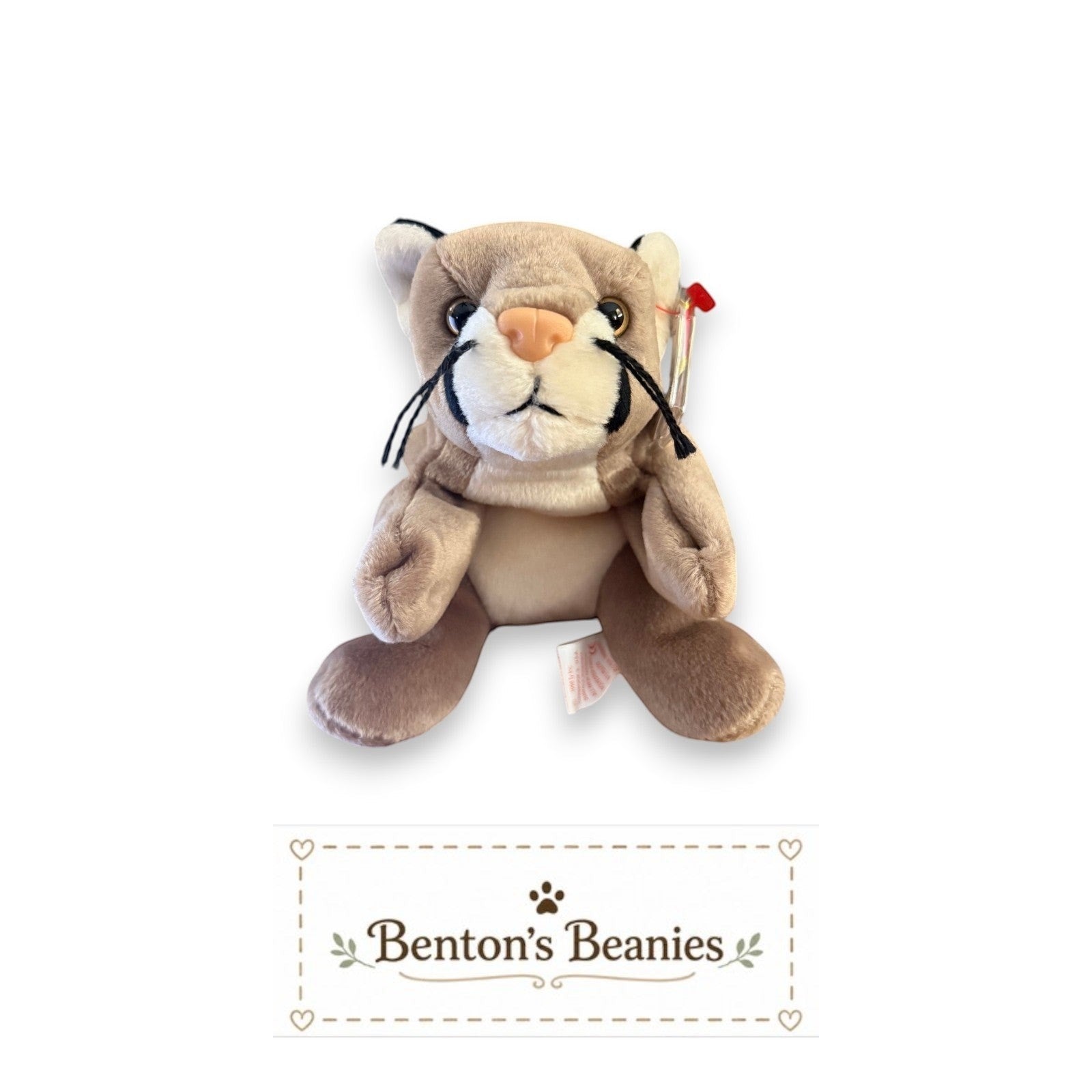 Canyon the Cougar TY Beanie Baby | Mint Heart/Tush Tag