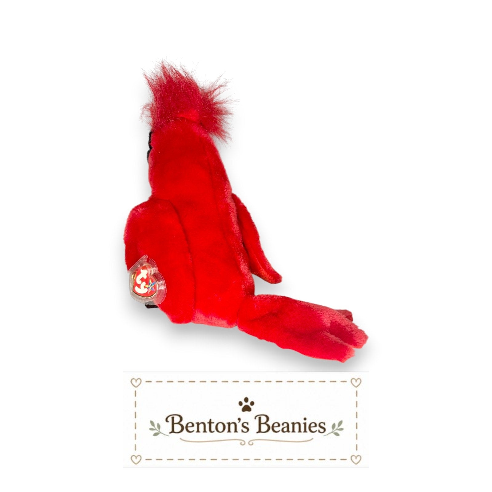 Mac the Cardinal TY Beanie Buddies | GOOD Heart & Tush Tag