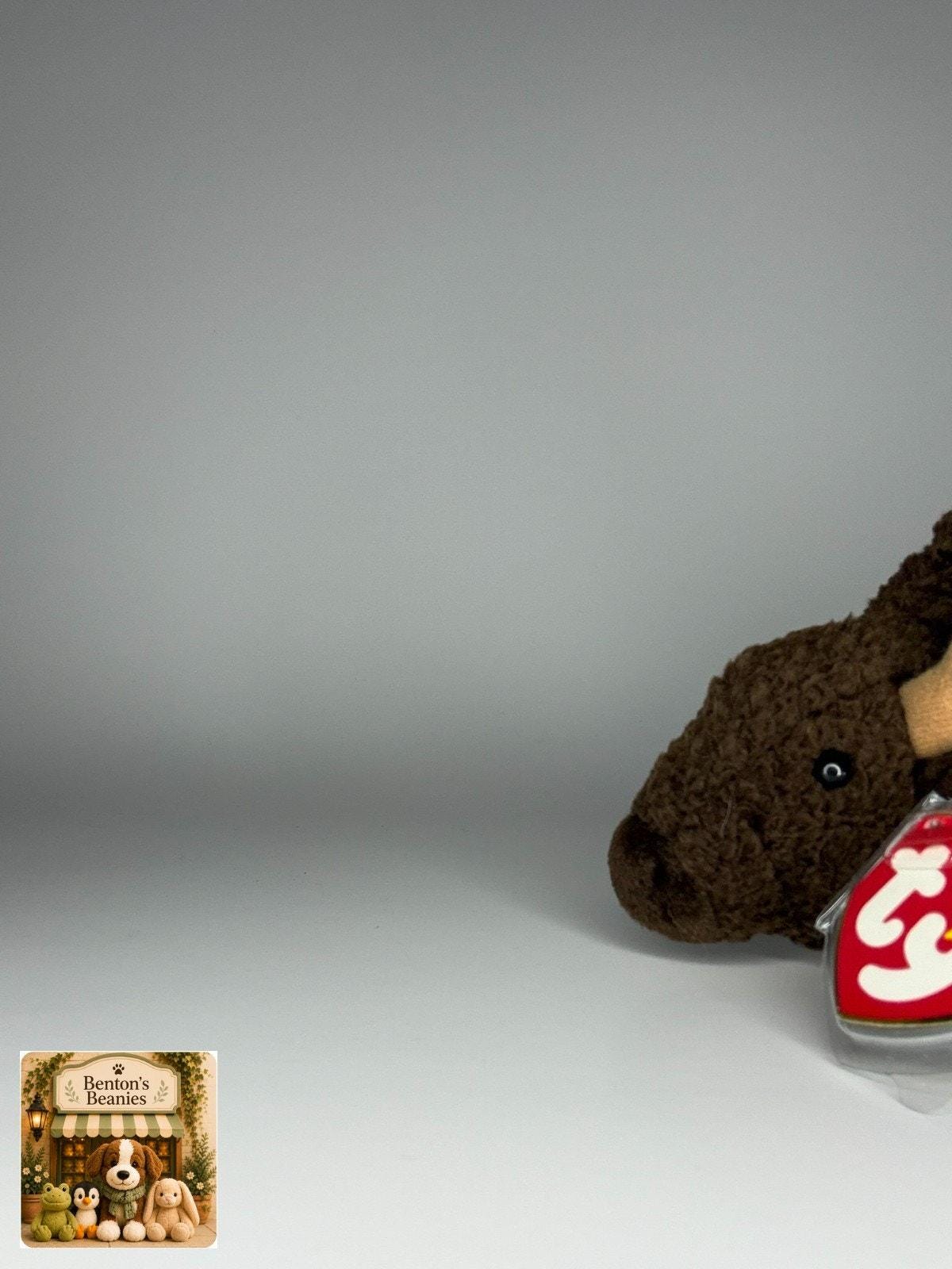 Roam the Buffalo TY Beanie Baby | Mint Heart & Tush Tag