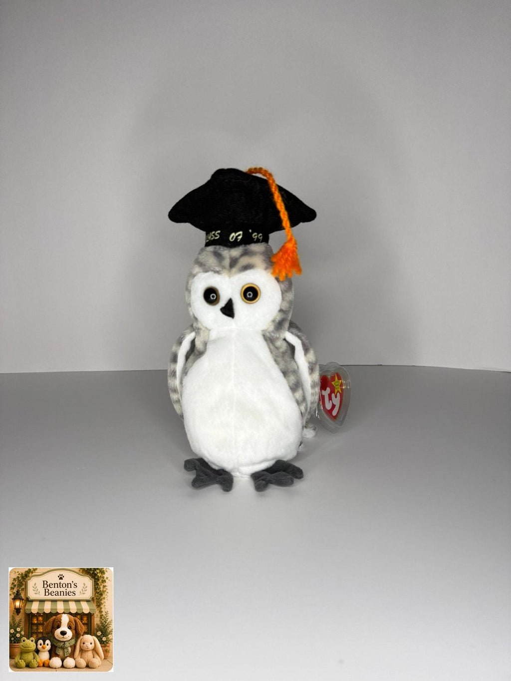 Wiser the Owl TY Beanie Baby | Mint Heart & Tush Tag