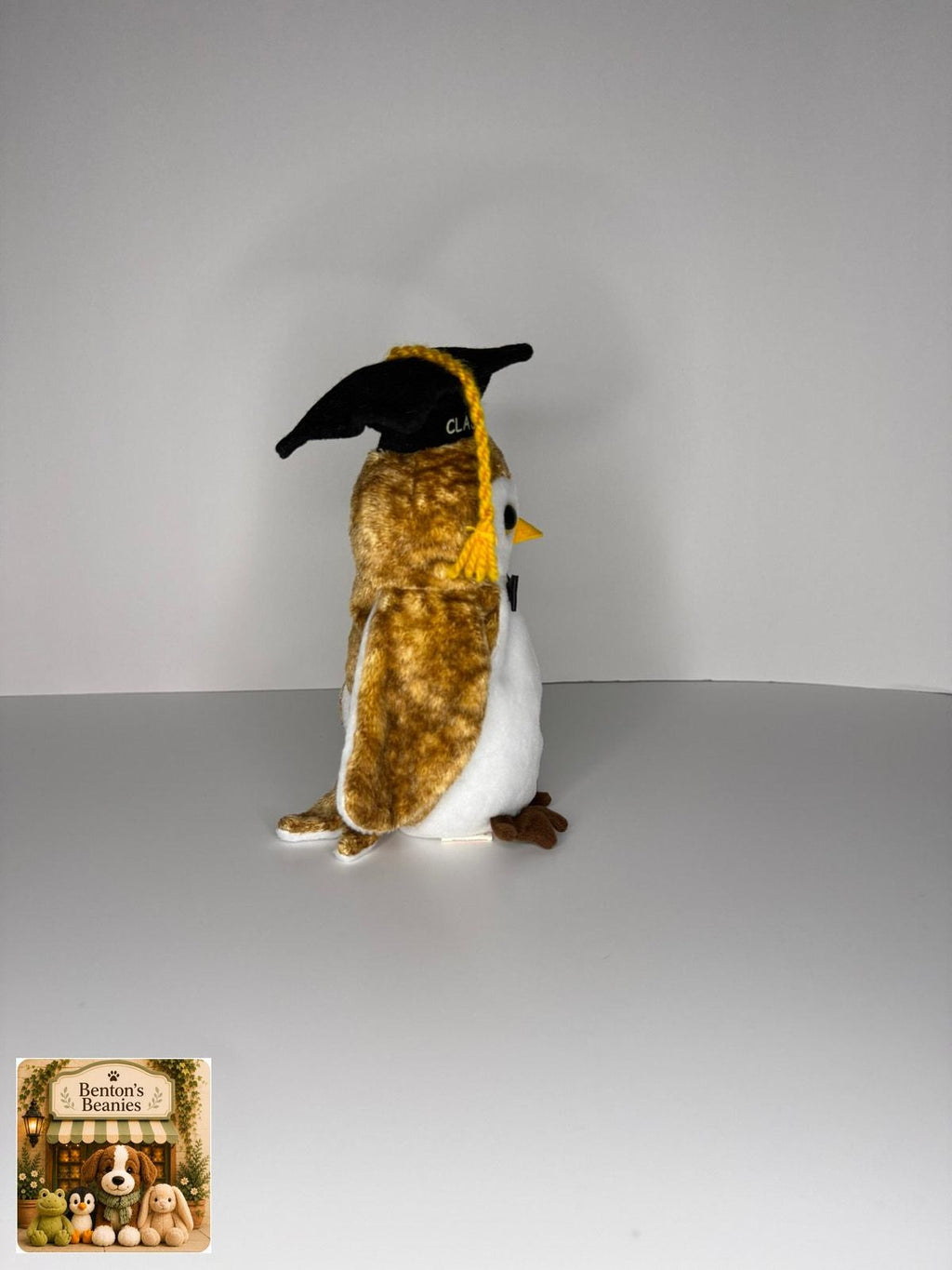 Wisest the Owl TY Beanie Baby | Mint Heart & Tush Tag