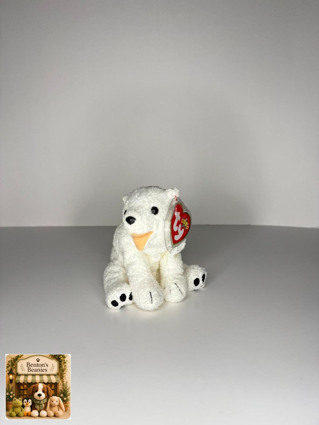 Aurora the Polar Bear TY Beanie Baby | Mint Heart & Tush Tag