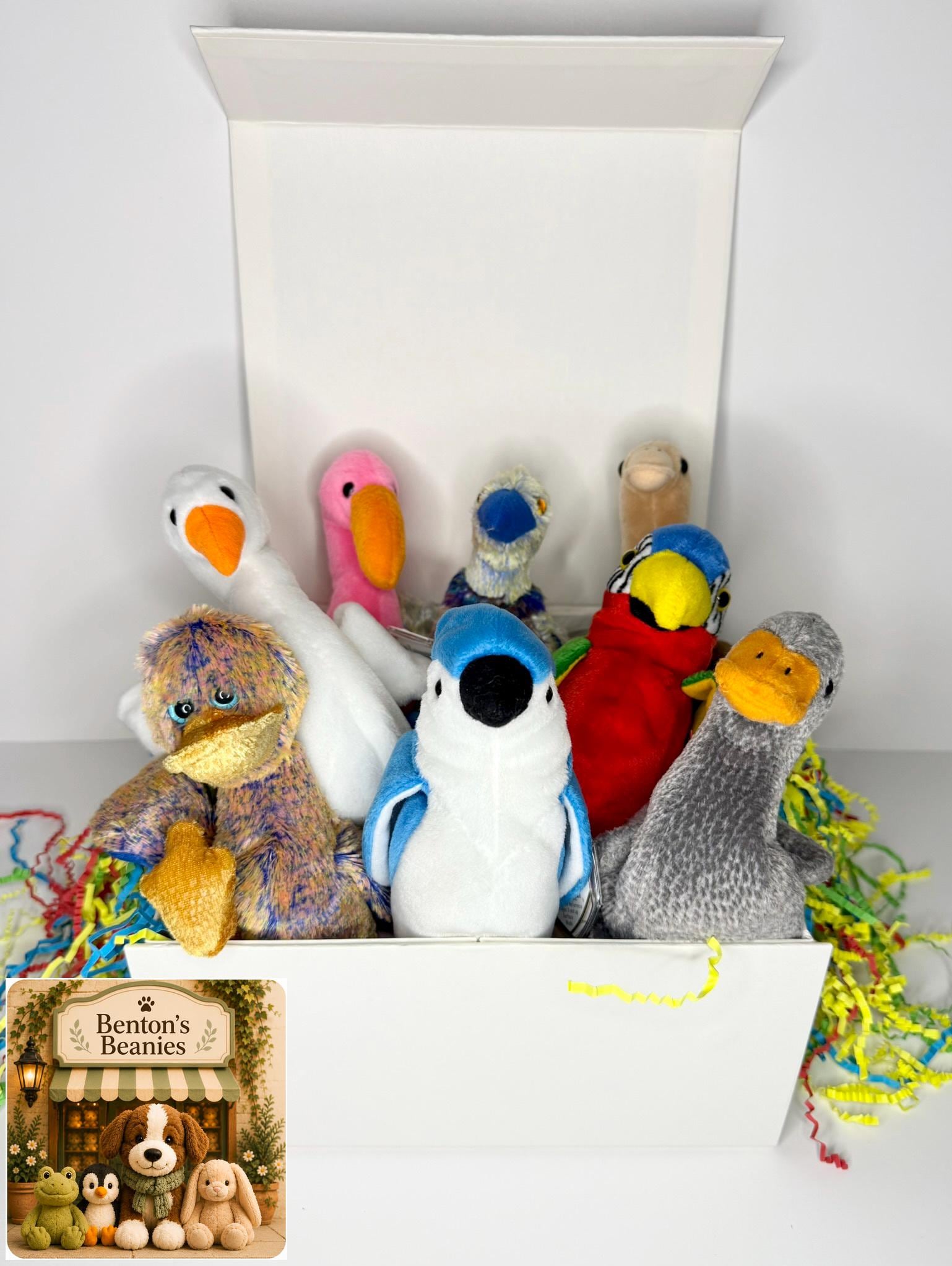 Benton's Mystery Box (8 Mystery Beanies)