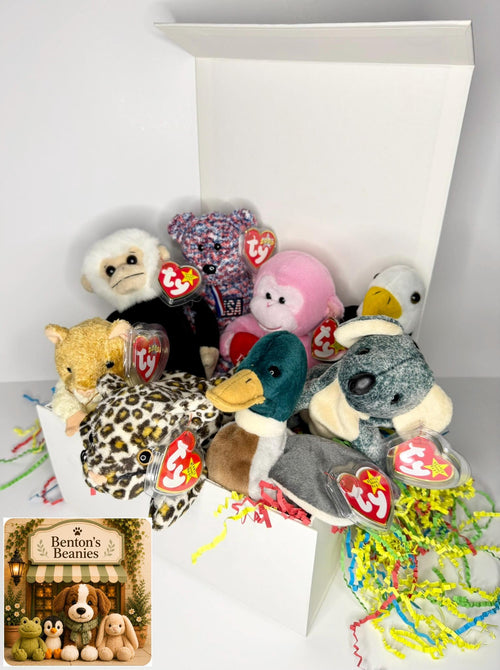 Benton's Mystery Box (8 Mystery Beanies)