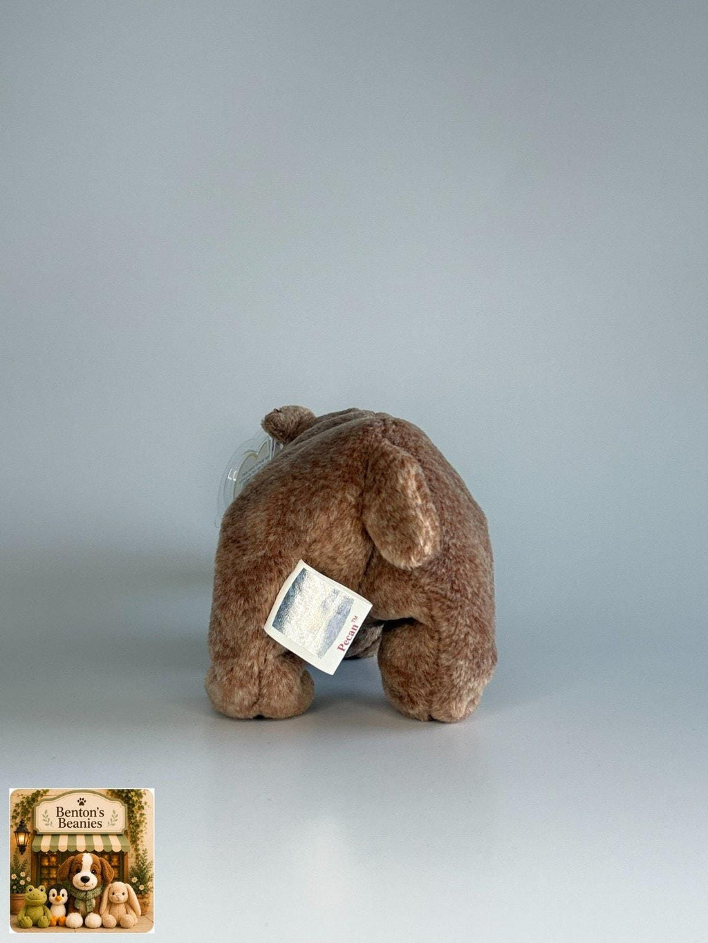 Pecan the Bear TY Beanie Baby | Mint Heart & Tush Tag