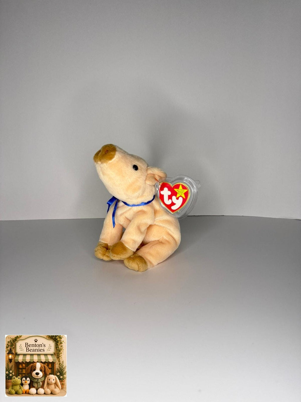 Knuckles the Pig TY Beanie Baby | Mint Heart & Tush Tag