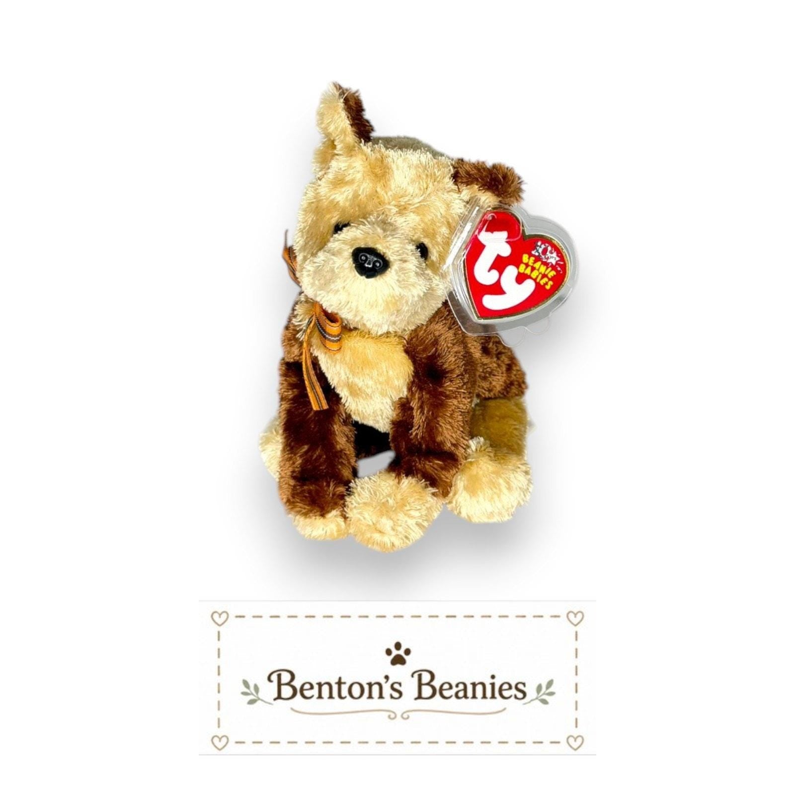 Fidget the Dog TY Beanie Baby | Mint Heart & Tush Tag'