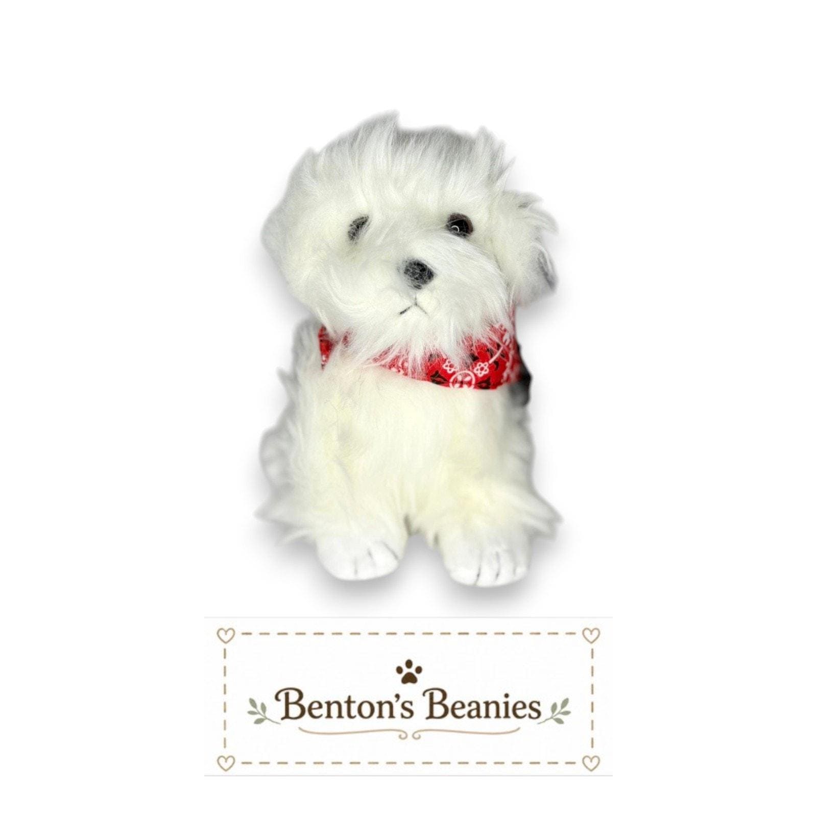Hobo the Dog TY Beanie Baby | Mint Heart & Tush Tag