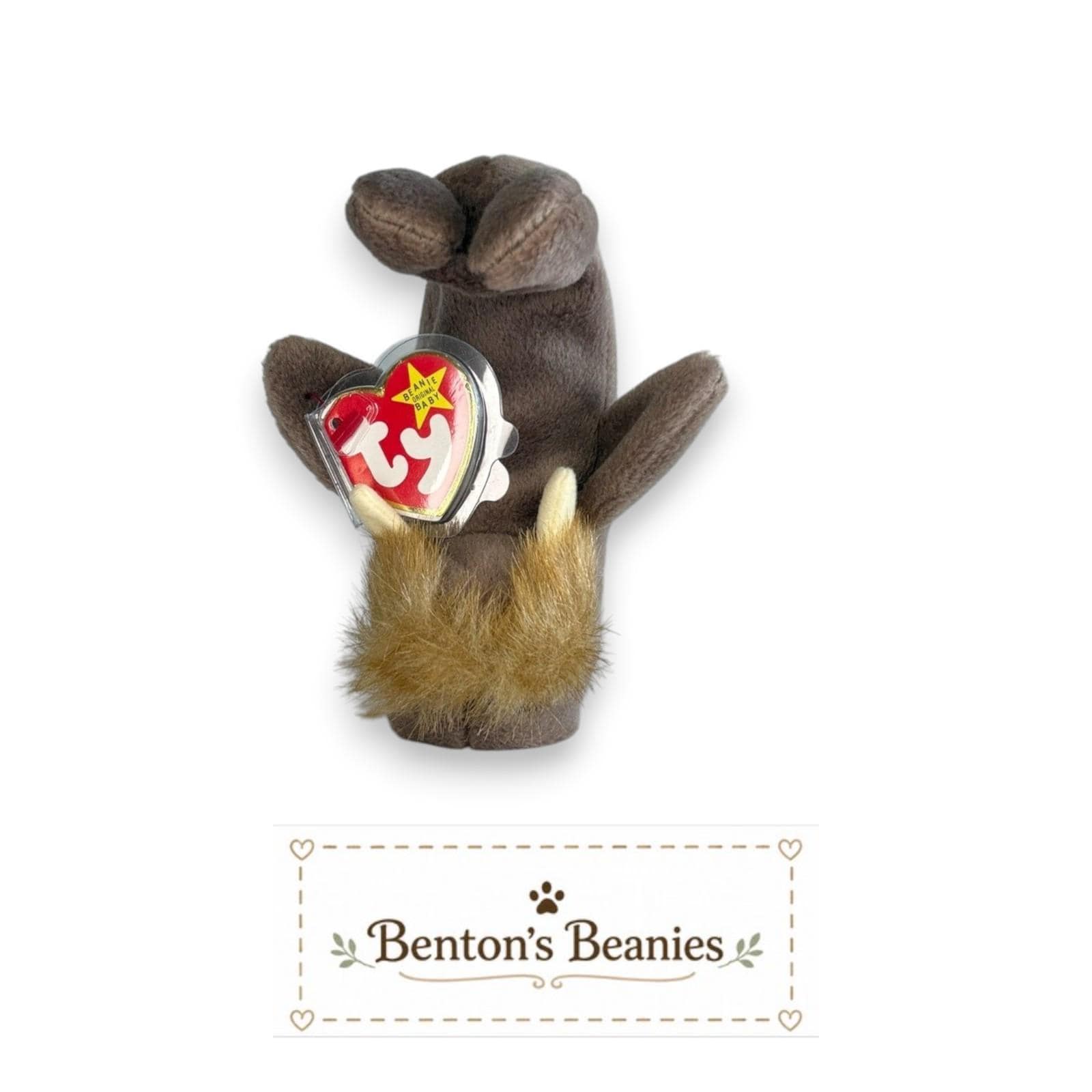 Jolly the Walrus TY Beanie Baby | Mint Heart & Tush Tag