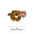 Bucky the Beaver Ty Beanie Baby | Busy Little Builder | Mint Heart Tag