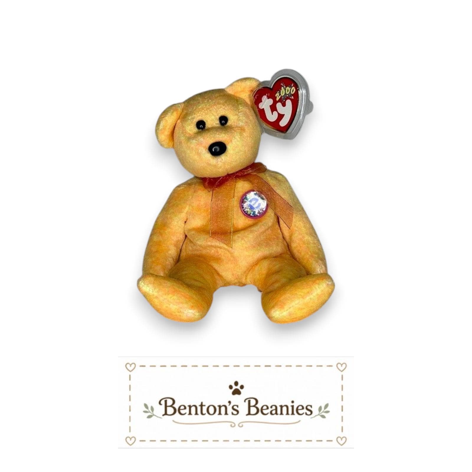 Sunny the Bear TY Beanie Baby | Mint Heart & Tush Tag