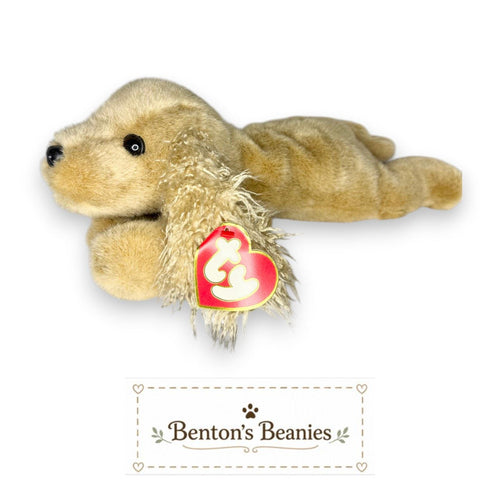Charlie the Dog TY Classic (Beanie Buddies Size) | Mint Tags
