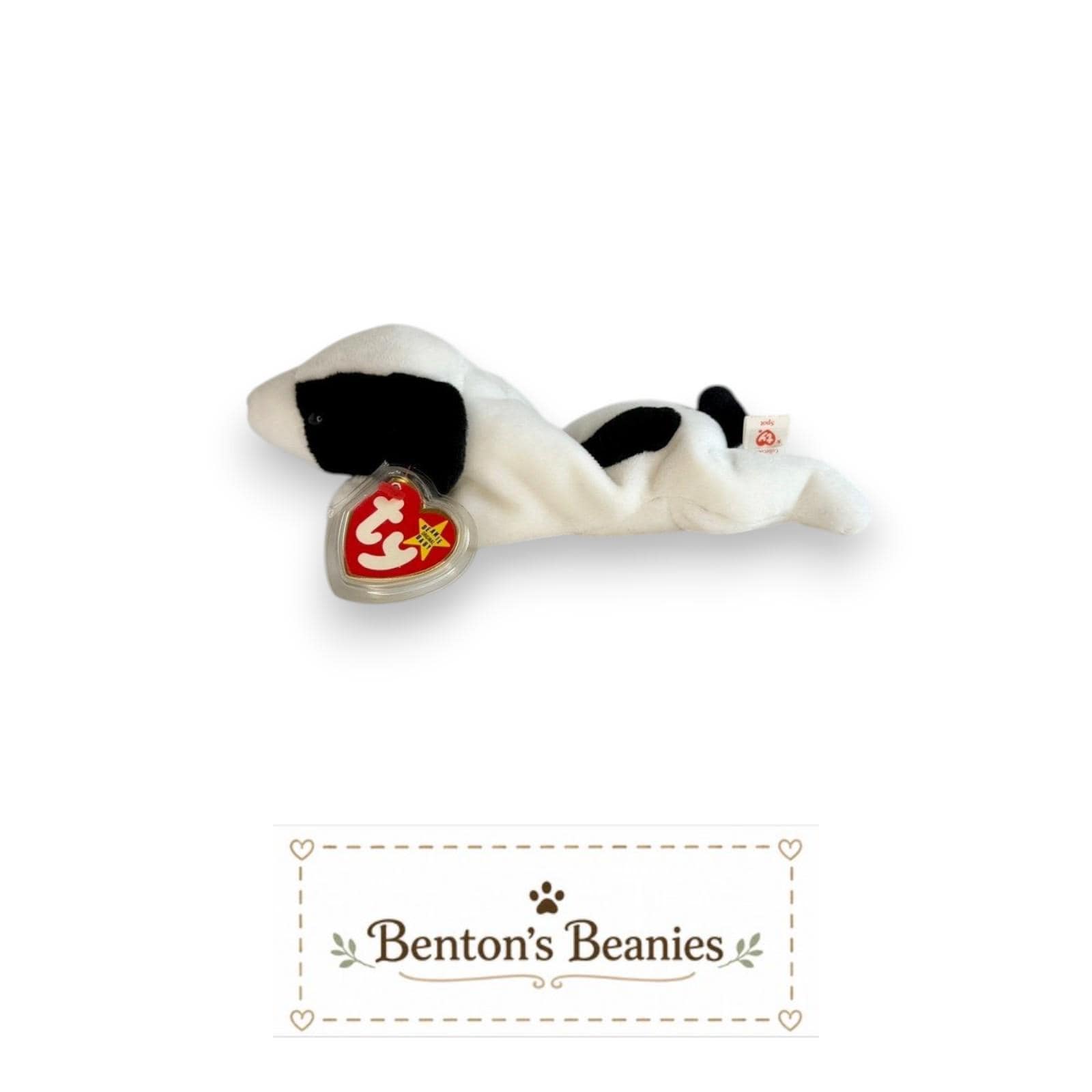 Spot the Dog TY Beanie Baby | Mint Heart & Tush Tag