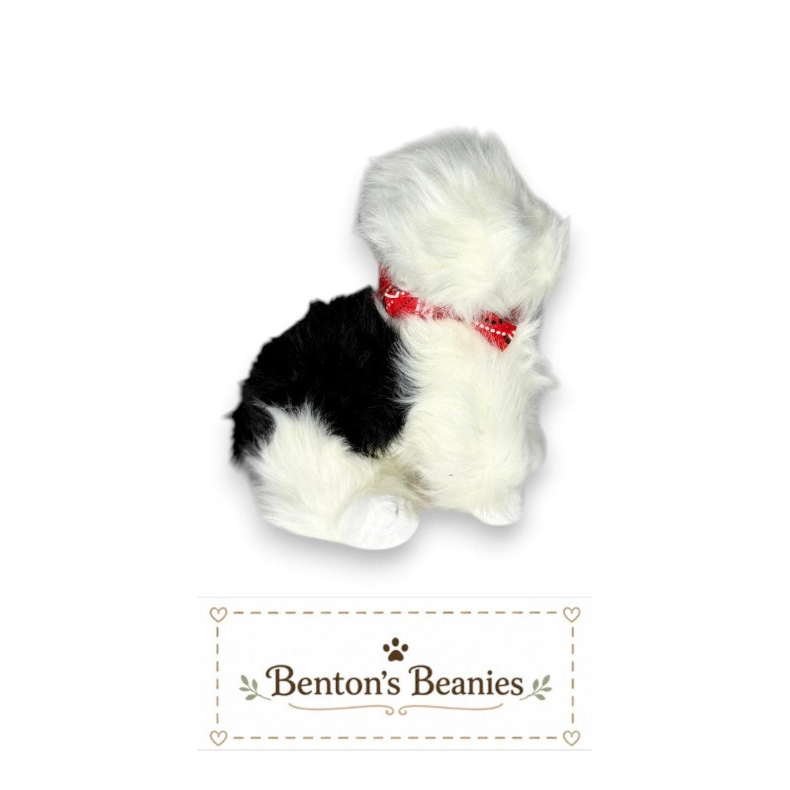 Hobo the Dog TY Beanie Baby | Mint Heart & Tush Tag