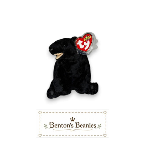 Cinder the Blackbear TY Beanie Baby | Mint Heart & Tush Tag