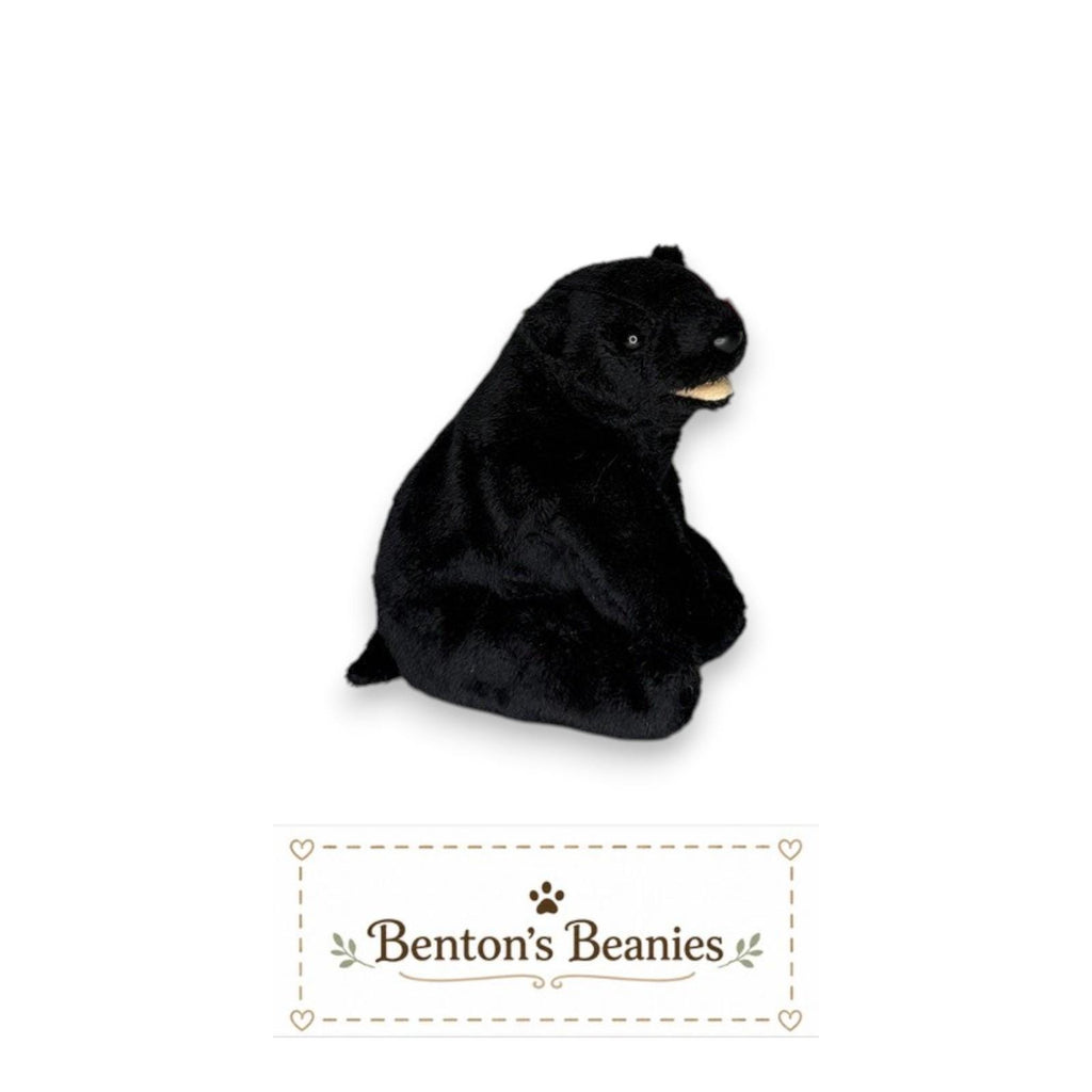 Cinder the Blackbear TY Beanie Baby | Mint Heart & Tush Tag